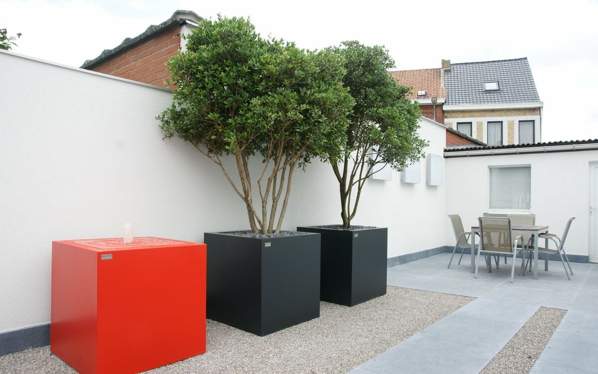 Blauwsteen binnentuin met meerstammige solitair, uit een eigen ontwerp