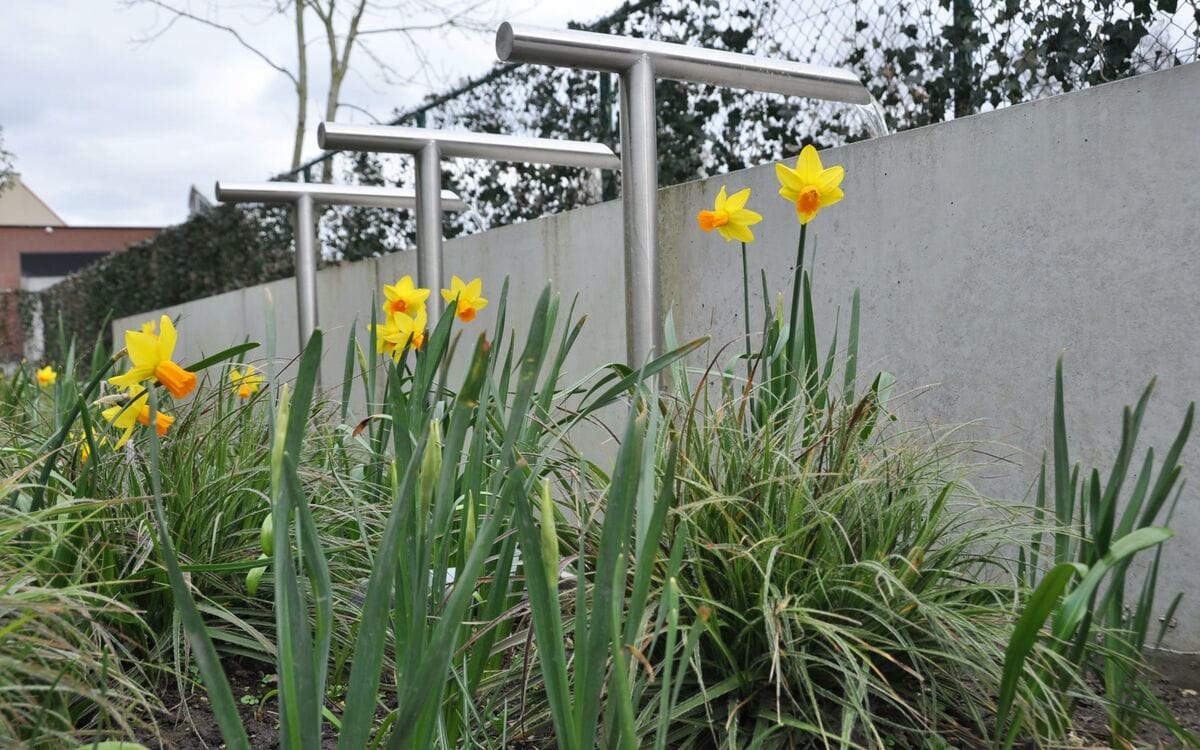 Gepolierde betonpad tussen beplanting