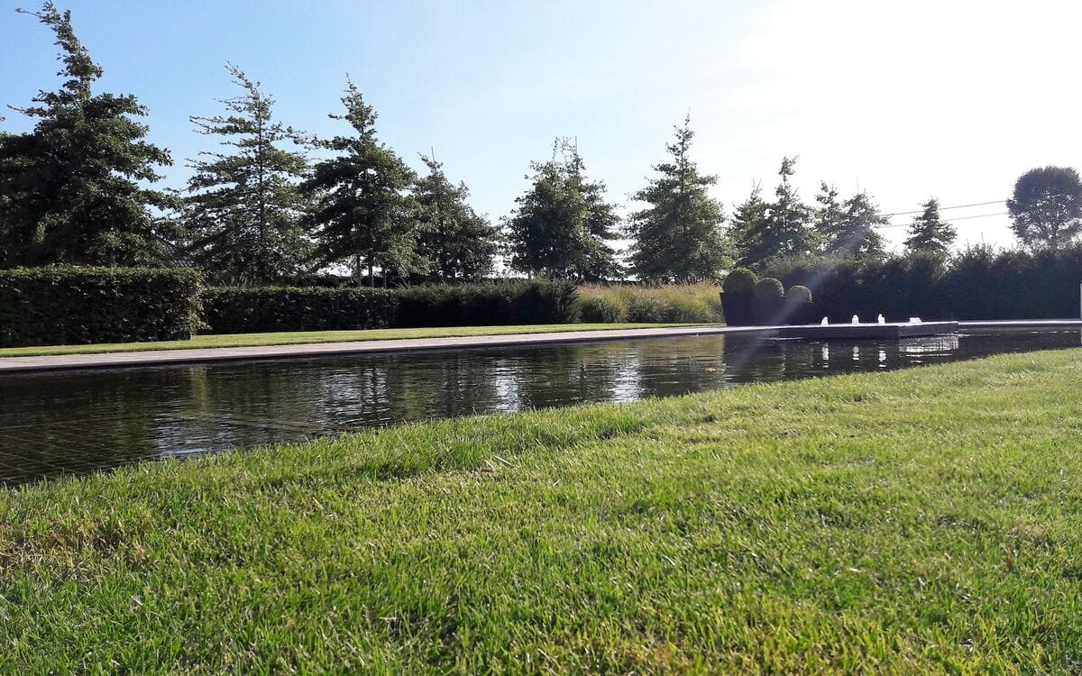 Zwemvijver met heldere waterspiegel