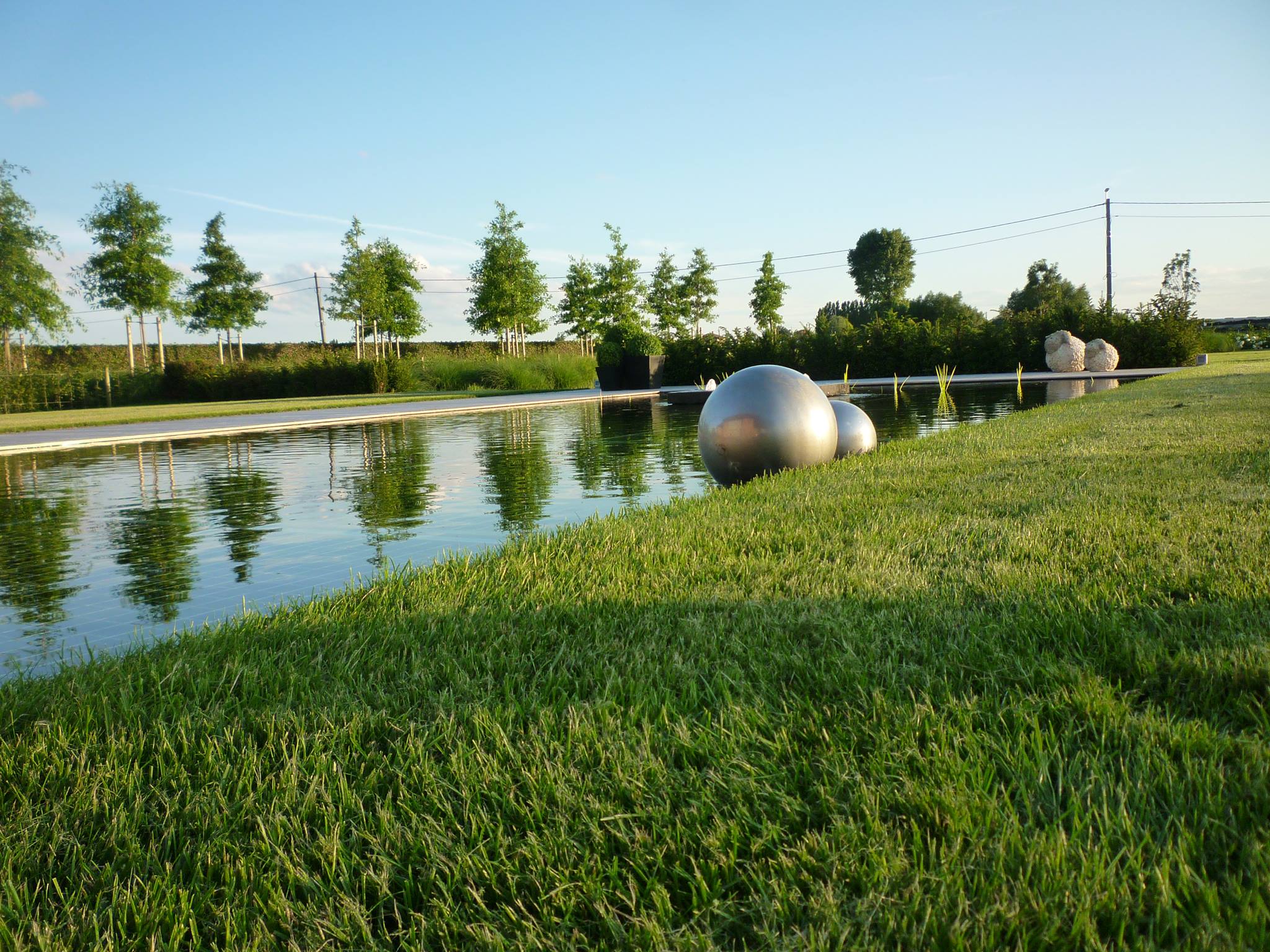 Zwemvijver met heldere waterspiegel en beplante rand